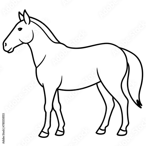 Horse Standing Line Art Vector