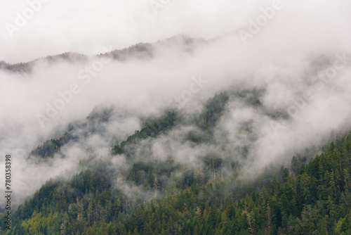 Misty Morning Fog and Haze Covering the Mountains and Pine Forests by Lake Crescent at Olympic National Park, Washington State