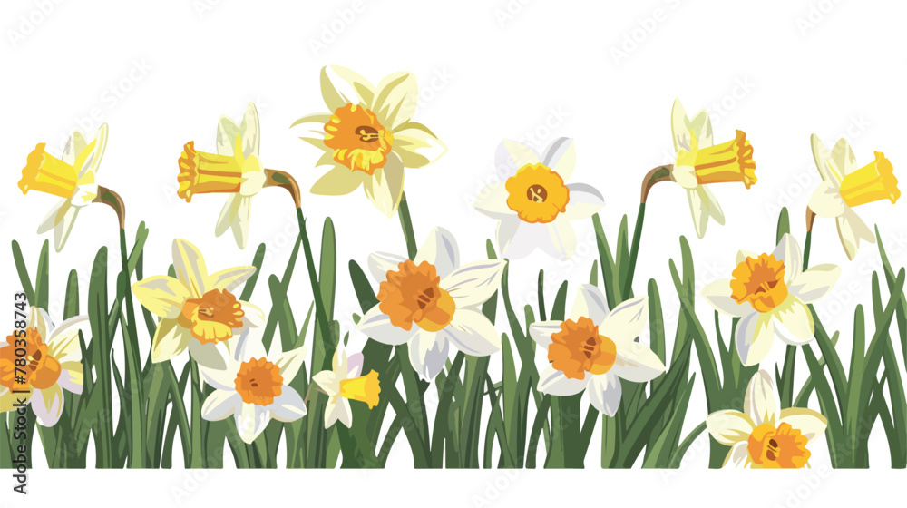 Daffodil flowers in the field flat vector isolated on