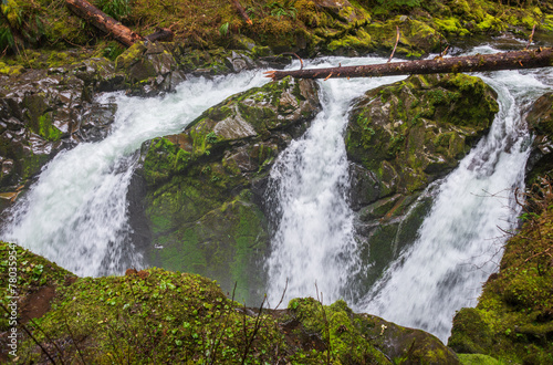The Waterfall of Sol Duc Falls trail in Olympic National Park  Washington State