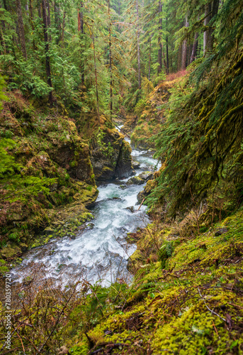 The Waterfall of Sol Duc Falls trail in Olympic National Park  Washington State