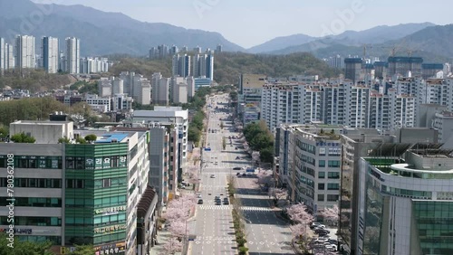 도시의 봄 the spring of the city