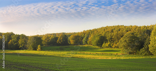 Landscape, nature and travel in countryside, trees in meadow or field in Germany with ecology, growth and sustainability. Eco, location and natural background with farming and land for biodiversity © peopleimages.com