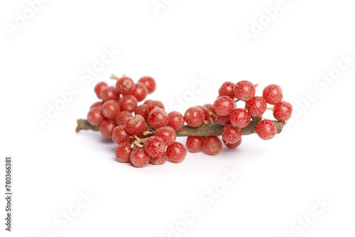 Bullberry or Shepherdia on white background photo