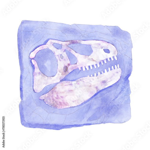 Fossil of Tyrannosaurus rex skull dinosaur in rock . Watercolor paint design . Vector .