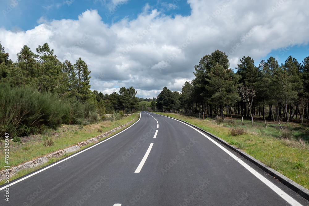 Estrada de asfalto com os respetivos traços de sinalização rodeada por pinheiral e um bonito céu nublado