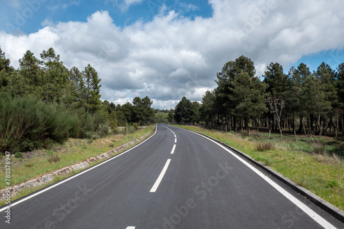 Estrada de asfalto com os respetivos traços de sinalização rodeada por pinheiral e um bonito céu nublado