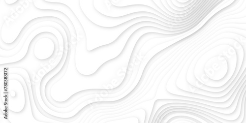 White luxury paper cut banner concept background .white wavy line 3d paper cut white background texture .white wave paper curved reliefs background design .