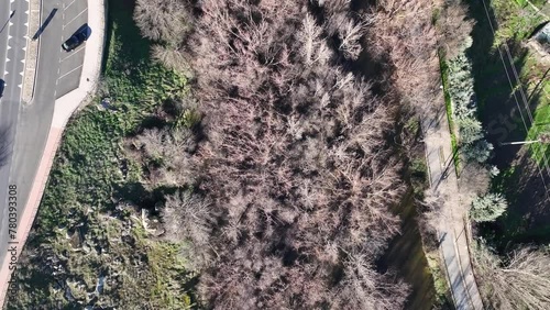 flight with a drone with a top-down view of the banks of the Adaja river as it passes through Avila, the capital, with a road on one side followed by leafless trees on the other side, a green area photo