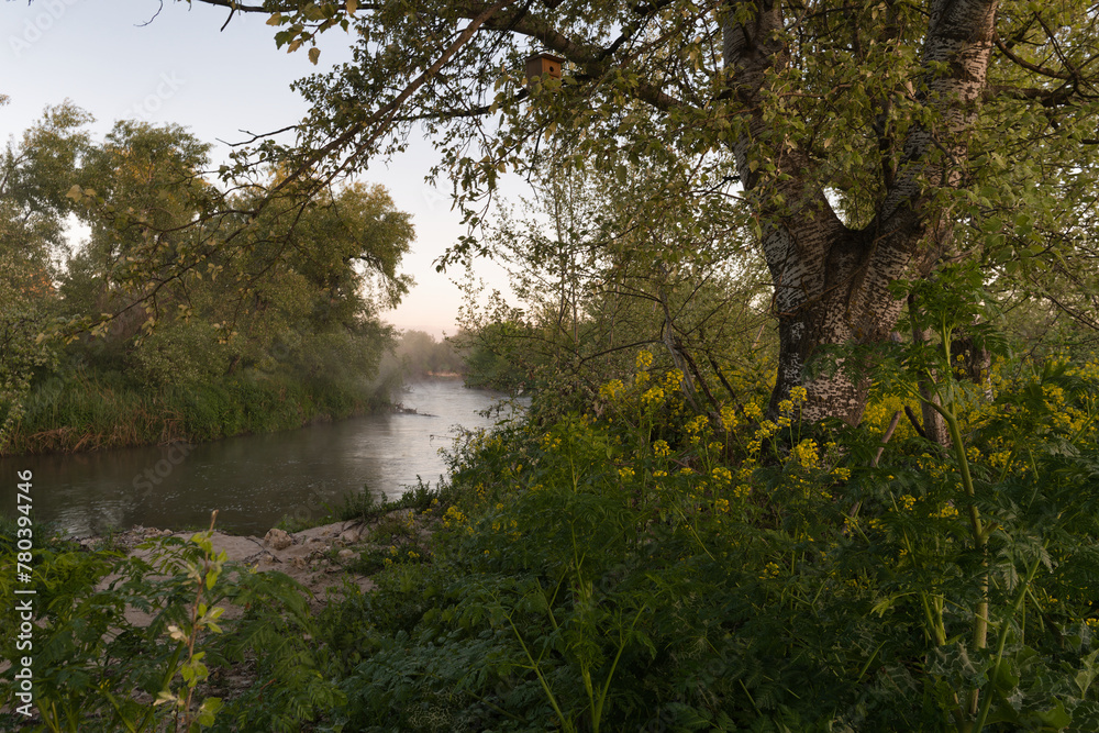 landscape, view, nature, sunrise, morning, light, spring, greene landscape, view, nature, sunrise, morning, light, spring, greene