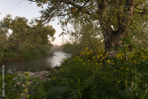 landscape  view  nature  sunrise  morning  light  spring  greene