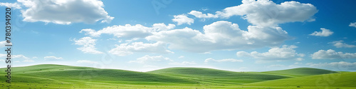 banner hilly landscape with green grass and blue sky  © bmf-foto.de