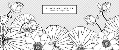 Black and white hand drawn floral illustration with lotus flowers. Outline of lotus flowers on a transparent background.