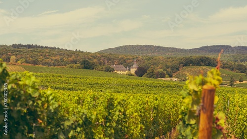 Schloss Vollrads, an old German castle in the Rheingau wine-growing region in Germany