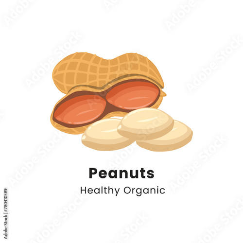 Vector illustration of peanuts on white background