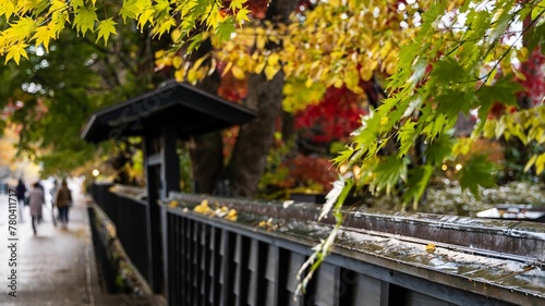 Fence separating the park and the pedestrian area next to the road © Wirestock