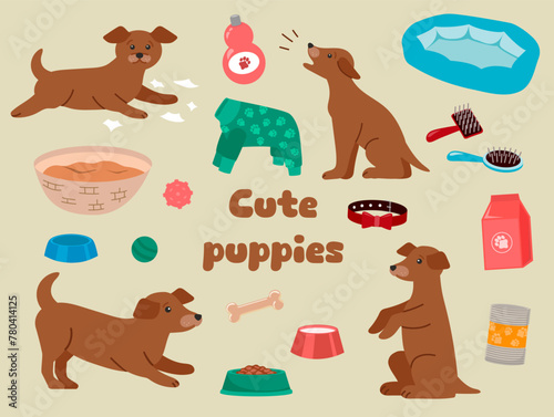 Cute puppies and pet products - food, toys, bed. Set of cute colorful elements on the theme of dogs and caring for them. Vector illustration.