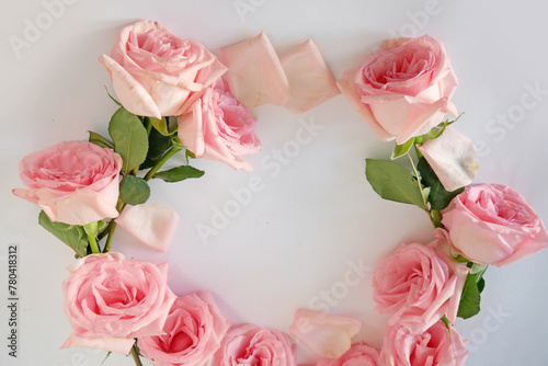 Beautiful pink roses circle on white background, amazing roses, birthday, wedding, Valentine's Day, Mother's Day concept, copy space