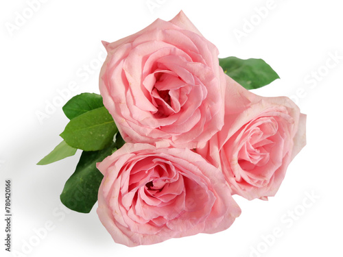 Beautiful pink roses bouquet on white background, amazing roses, birthday, wedding, Valentine's Day, Mother's Day