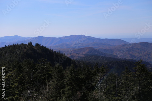 Beautiful landscape of colorful dense forests in a mountainous area