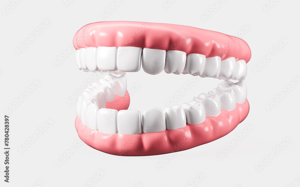 Fototapeta premium Human tooth model, white teeth, even teeth model, 3d rendering.