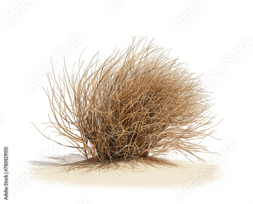 A tumbleweed rolling across the desert landscape, isolated on a transparent background