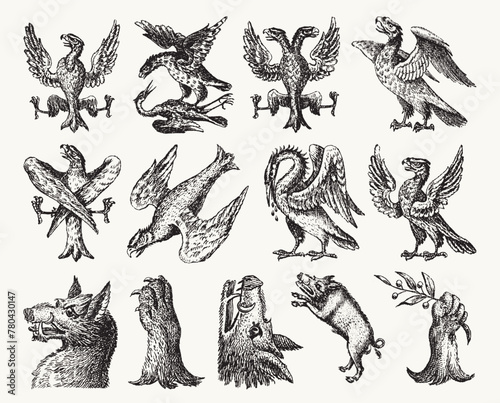 Set of Hand Drawn Heraldry Animals - Various Birds, Eagles, Wild Boars, and Wildlife