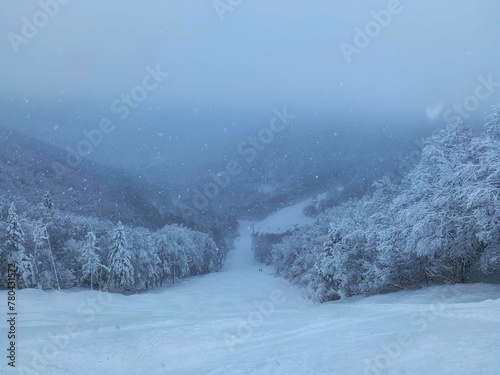 Narrow snowy road surrounded by trees in Killington Ski Resort, Vermont, New England, Canada © Wirestock