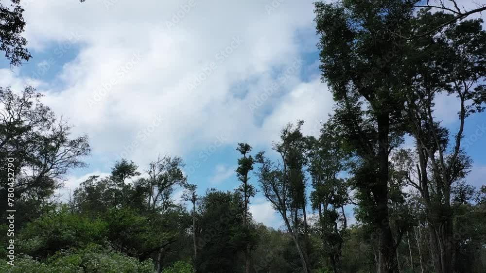 Aerial view of a tropical lagoon towards the beautiful blue sky in a forest