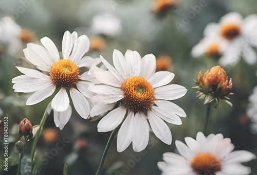 AI generated illustration of a field full of blooming white and orange flowers