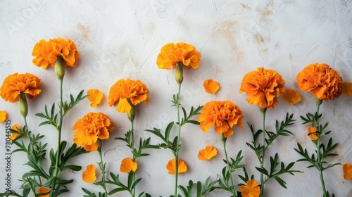 Orange marigold flowers with vibrant petals and green stems in a natural blossom arrangement photo