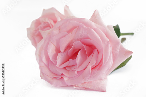 Beautiful pink roses bouquet on white background, amazing roses, birthday, wedding, Valentine's Day, Mother's Day