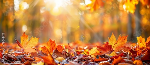 Defocused colorful bright autumn ultra wide panoramic, Ai generate 