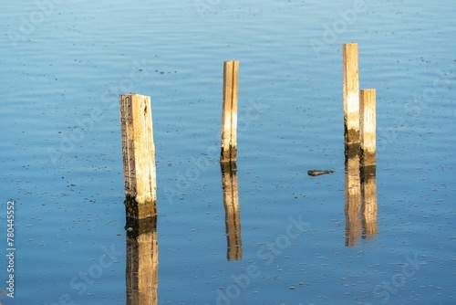 Wooden posts in the water of shoreline lake in California