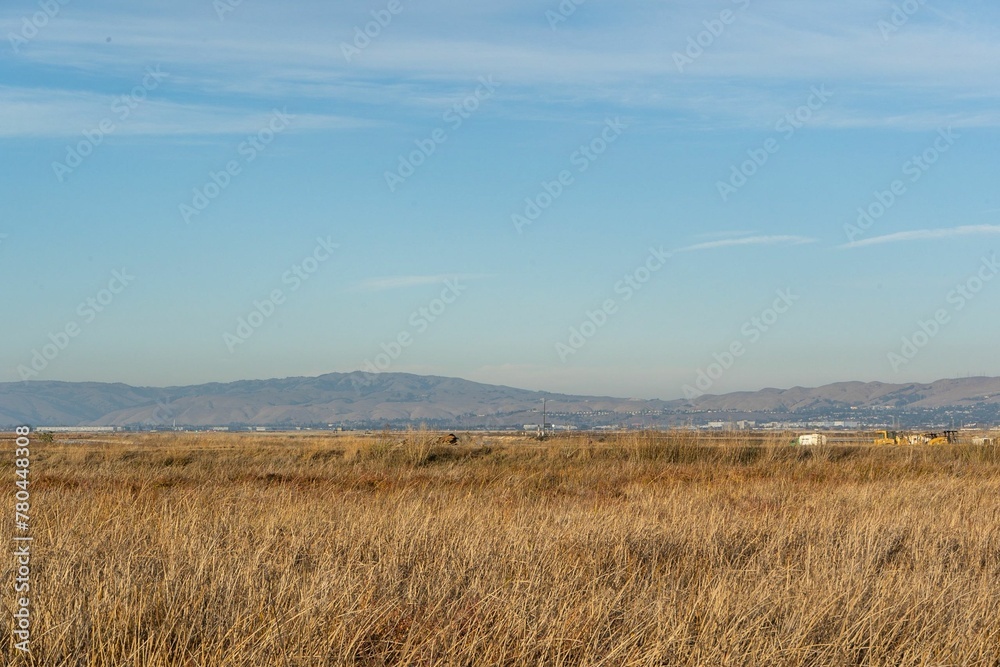 Grass covering the landscape with mountains in the background Grass covering the landscape with mountains in the background