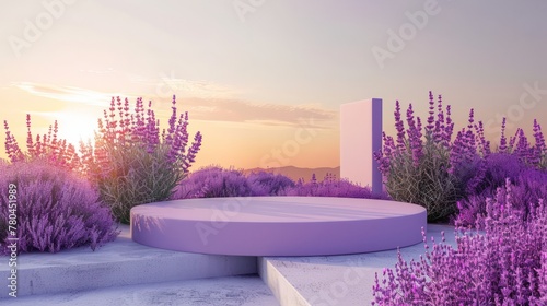 Spring lavender flower display plant background, lavender podium, purple lavender punch point © SHI