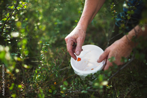 Cropped image of woman collecting cloudberry in bucket at park photo