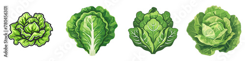 Lettuce  2d Icon In Water Colour Hyperrealistic Highly Detailed Isolated On Transparent Background Png © Wander Taste