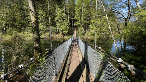 Wooden footbridge over calm lake in green deciduous forest © Wirestock