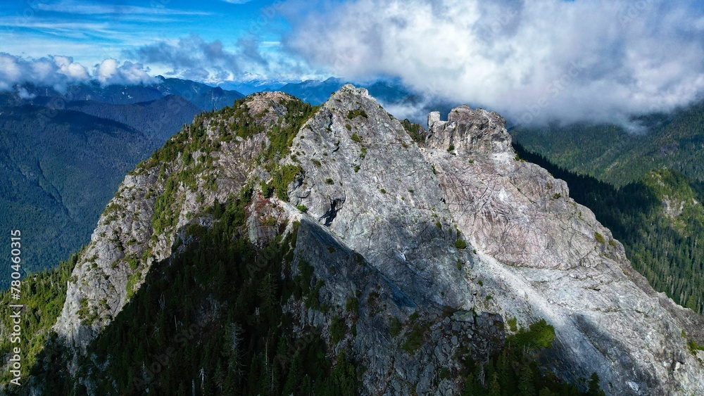 Aerial view of a beautiful forest near the mountains in Vancouver, Canada