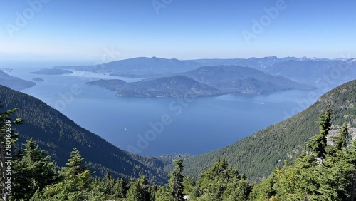 Aerial view of a beautiful forest near the mountains in BC, Canada