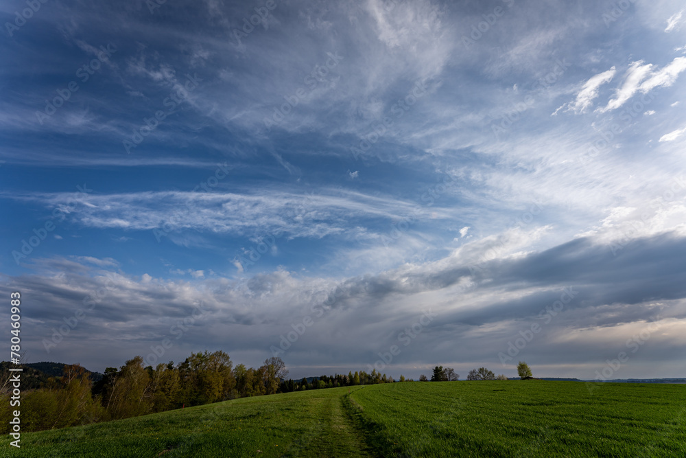 Summer landscape of a field with clouds on a sunny day Summer landscape of a field with clouds on a sunny day