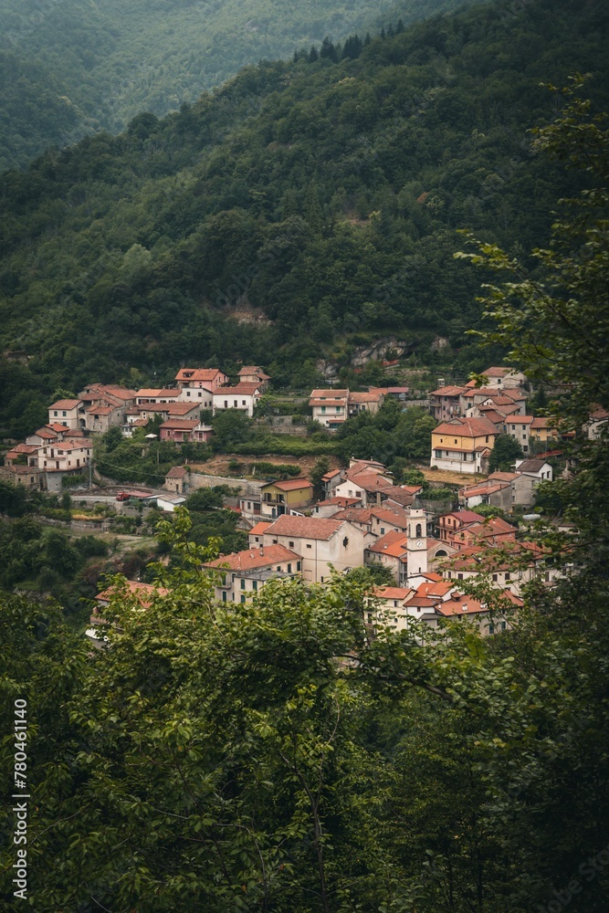 Vertical shot of a town surrounded by wild forest mountains
