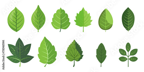 set illustration of green leaf icon isolated on white background