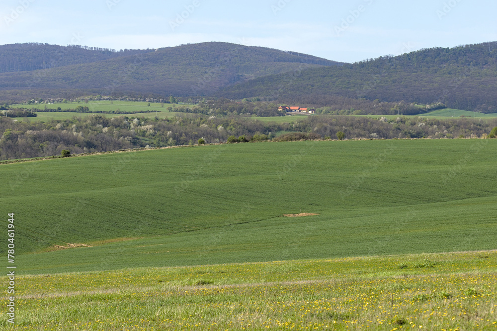 green fields with forests and mountains in the background