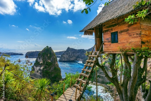 High-angle of a tree house and Diamond beach in Nusa Penida island, Bali, Indonesia photo