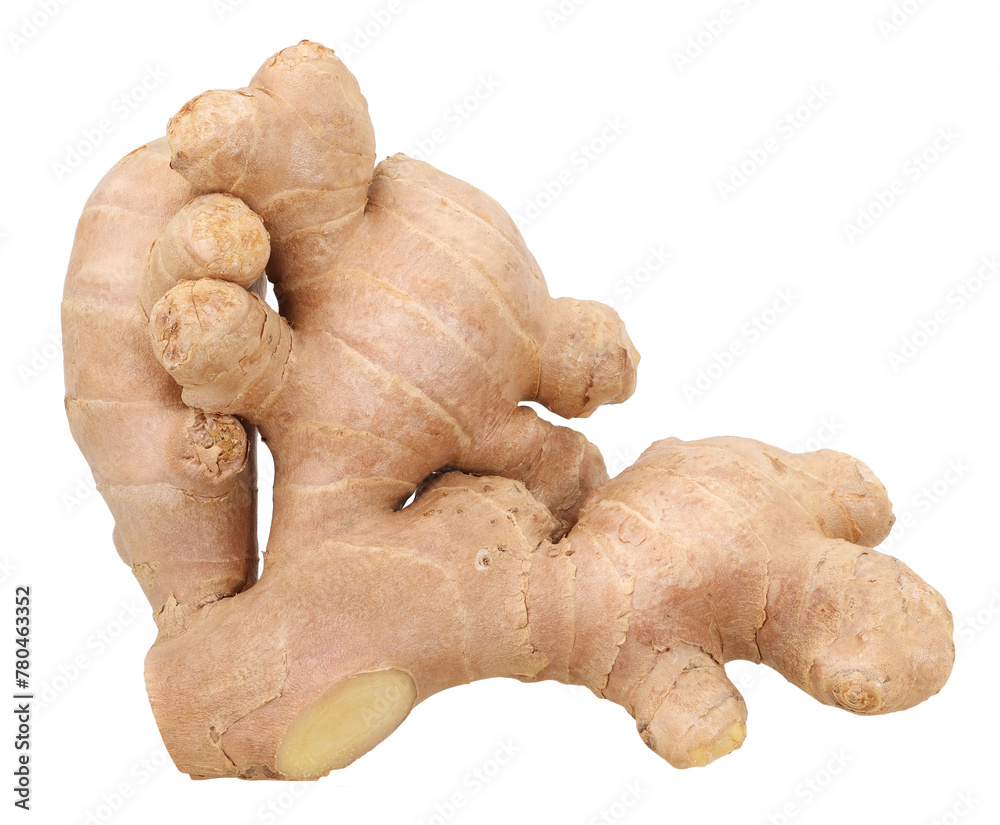 Close-up, Fresh ginger rhizome isolated, transparent PNG, PNG format, cut out Close-up, Fresh ginger rhizome isolated, transparent PNG, PNG format, cut out