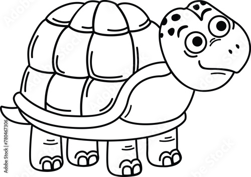 Hand drawn turtle character illustration, vector