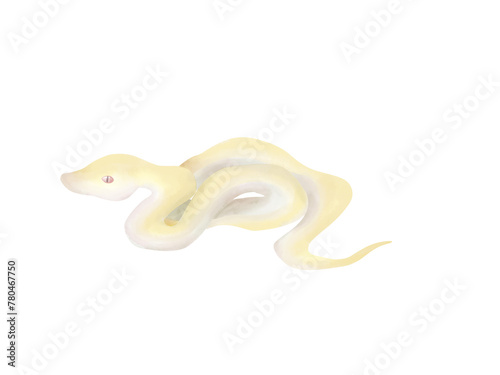 Chinese zodiac - snake (ID: 780467750)
