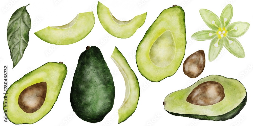 Avocado watercolor big set. Isolated hand drawn drawings of fruit parts, leaves and flowers. Clip art of ripe fruit on a white background. Ideal for menu design, vegetarian recipe books and fresh food Avocado watercolor big set. Isolated hand drawn drawings of fruit parts, leaves and flowers. Clip art of ripe fruit on a white background. Ideal for menu design, vegetarian recipe books and fresh food